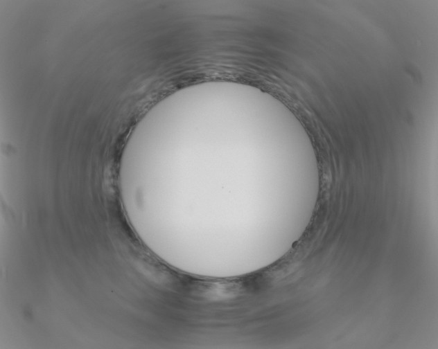 X0000090960663200708021122