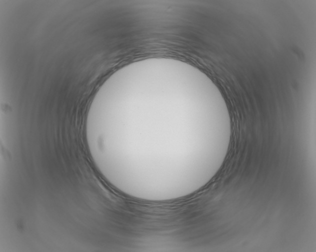 X0000090960664200708021122