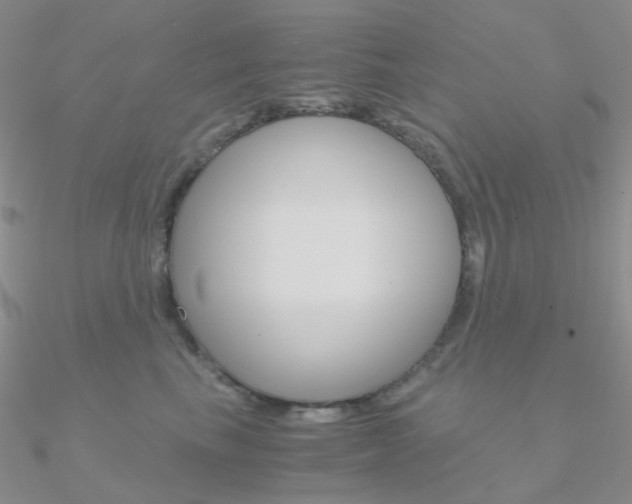 X0000090960665200708021123