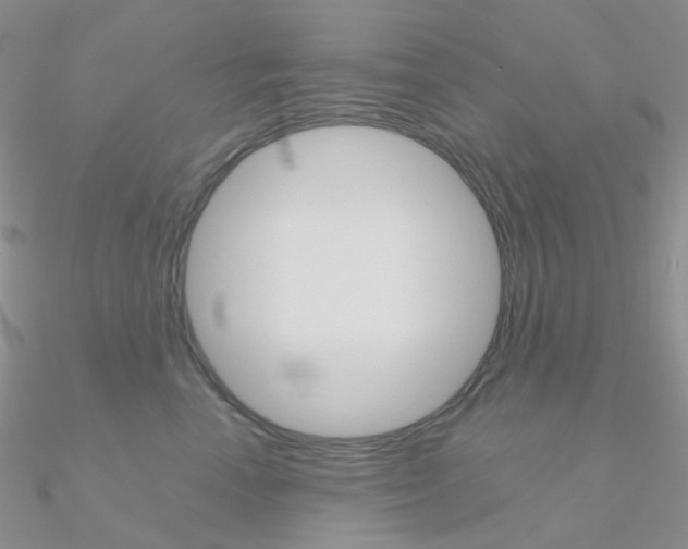 X0000090960666200708021123