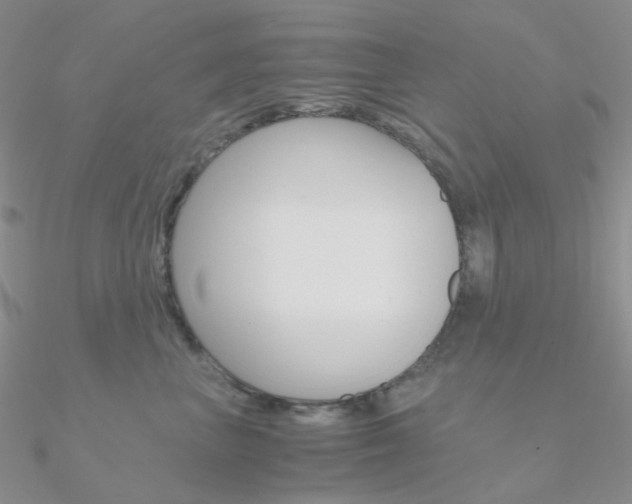 X0000090960667200708021123