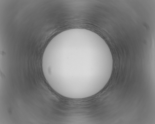 X0000090960668200708021123