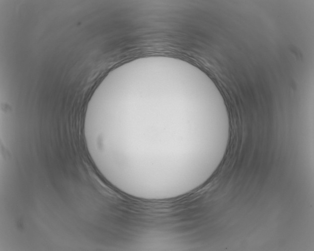 X0000090960670200708021123