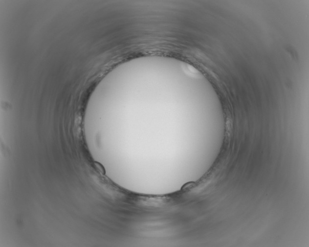 X0000090960671200708021123