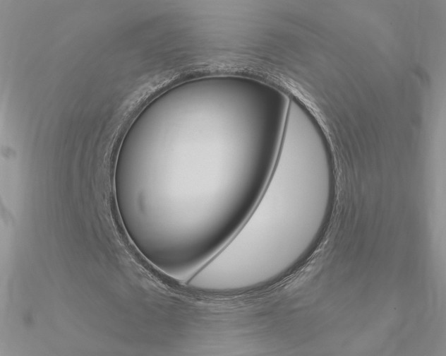 X0000090960673200708021122