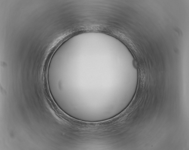 X0000090960674200708021122