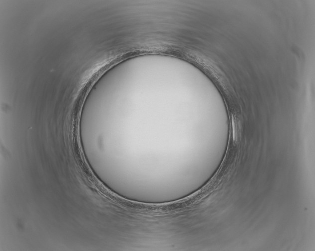 X0000090960675200708021122