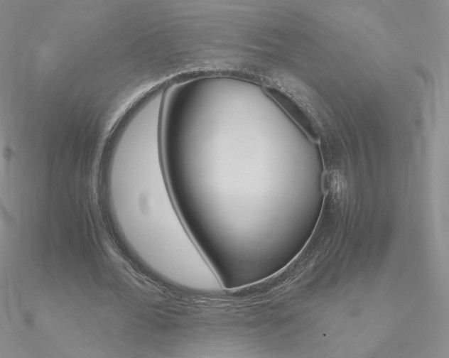 X0000090960676200708021122