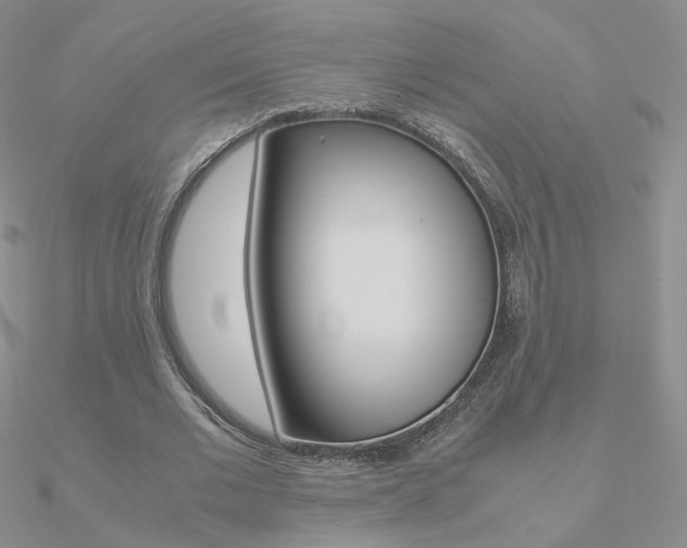 X0000090960677200708021122
