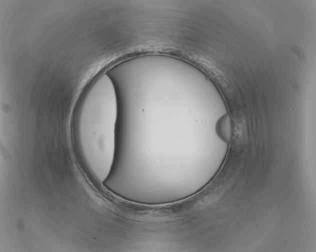 X0000090960678200708021122