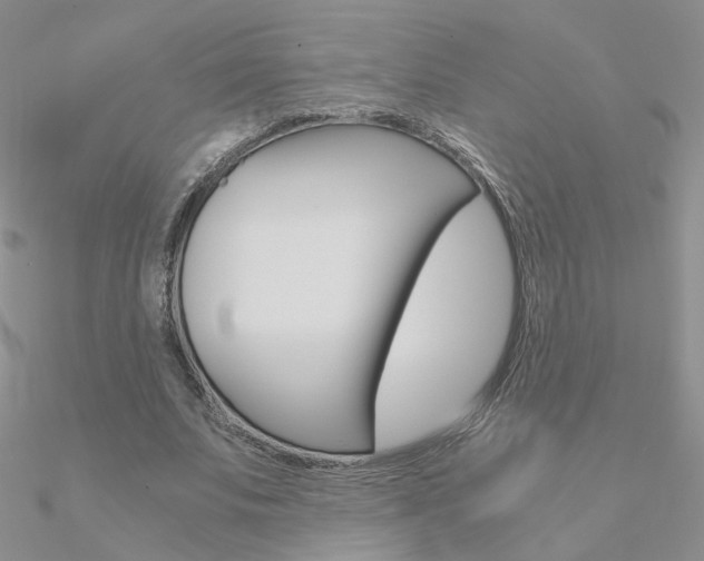 X0000090960679200708021122