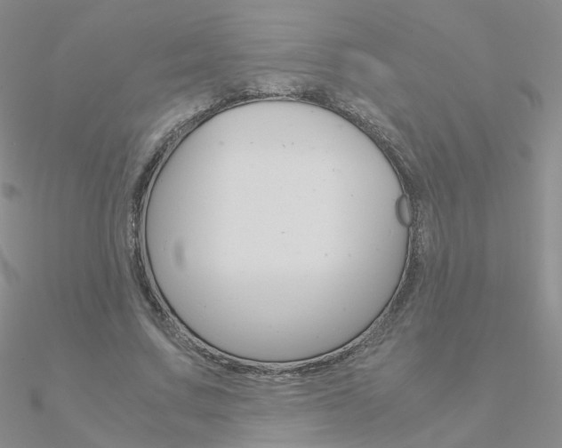 X0000090960683200708021122