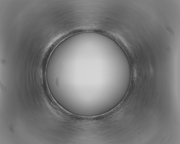X0000090960684200708021122