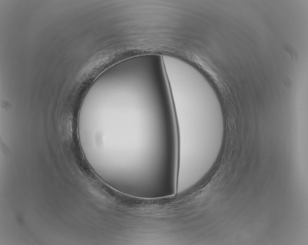 X0000090960685200708021122