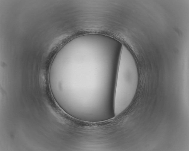 X0000090960688200708021122