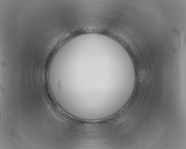 X0000090960690200708021122