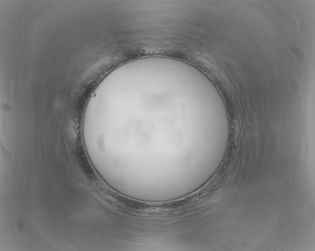X0000090960691200708021122
