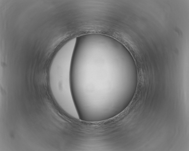 X0000090960692200708021122