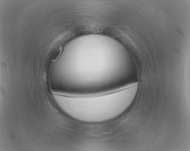 X0000090960693200708021122