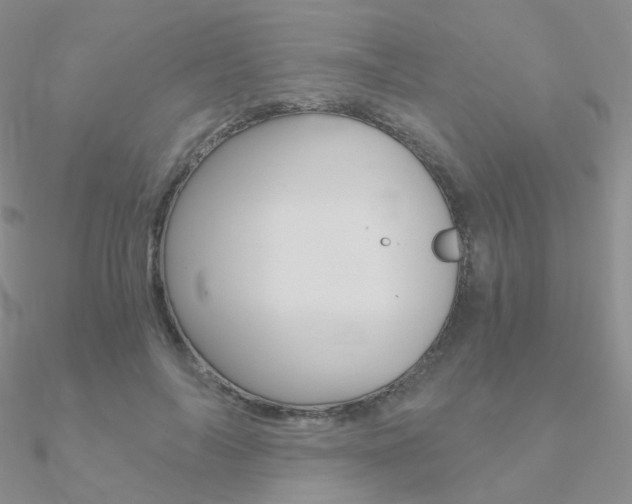 X0000090960694200708021122