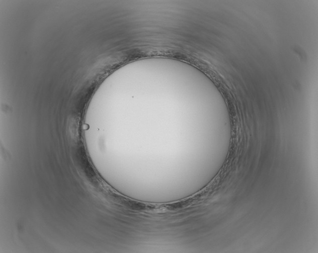 X0000090960695200708021122