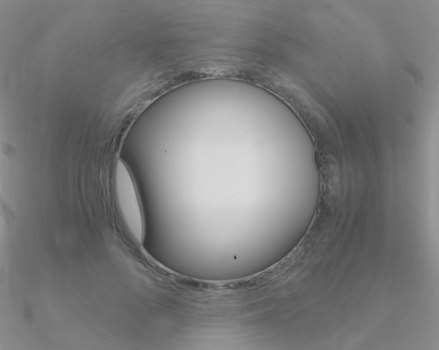 X0000090960696200708021122