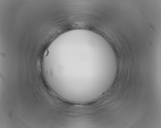 X0000090960699200708021122