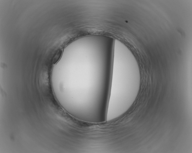 X0000090960700200708021122