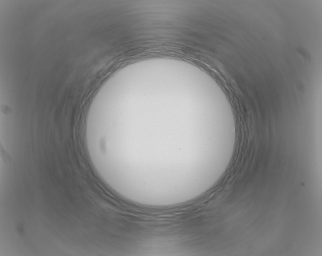 X0000090960701200708021122