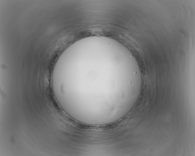 X0000090960702200708021122