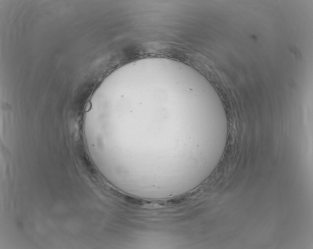 X0000090960703200708021122
