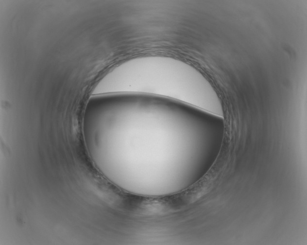 X0000090960704200708021122