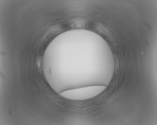 X0000090960709200708021122