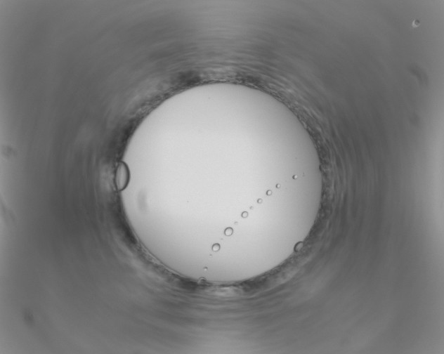 X0000090960711200708021121