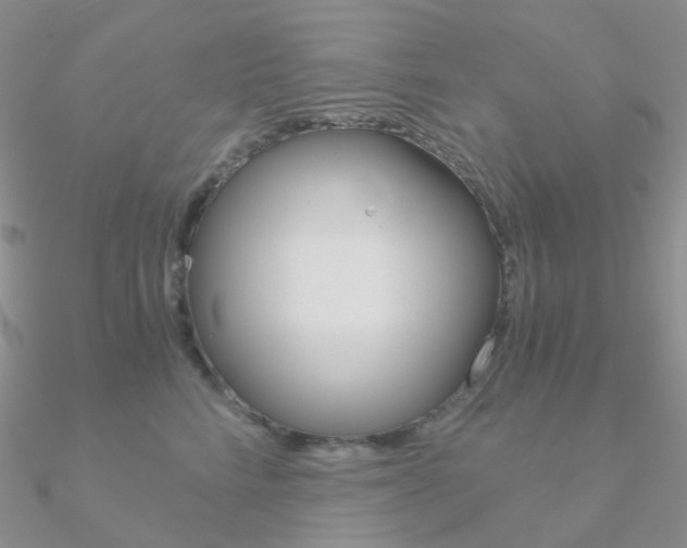 X0000090960712200708021121