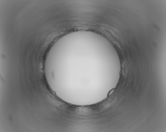 X0000090960714200708021121