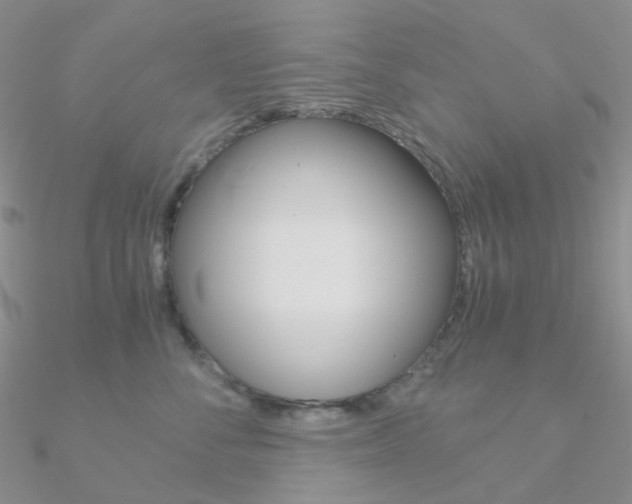 X0000090960716200708021121