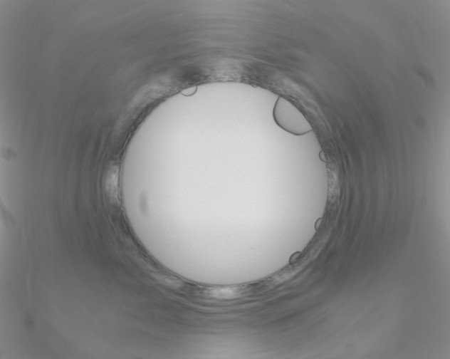 X0000090960717200708021121