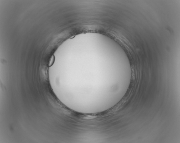 X0000090960718200708021121