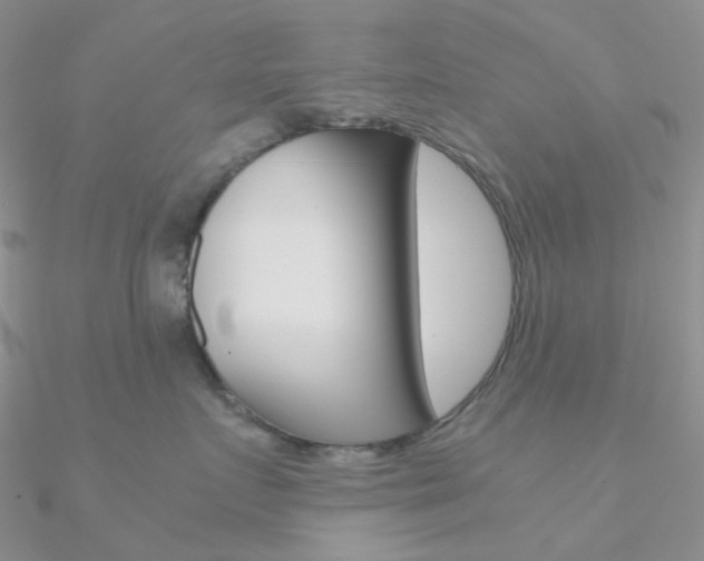 X0000090960719200708021121