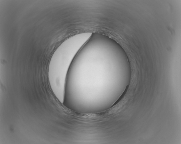 X0000090960720200708021121