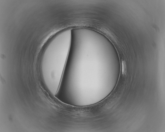 X0000090960723200708021121