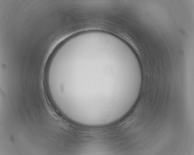 X0000090960724200708021121