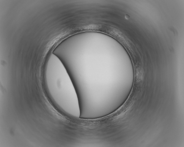 X0000090960725200708021121