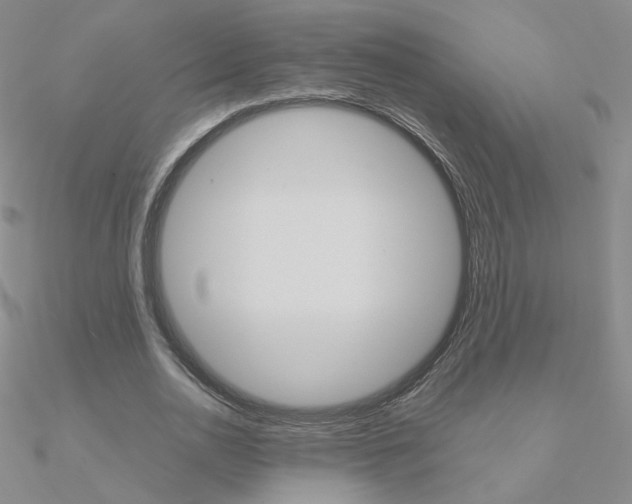 X0000090960726200708021121