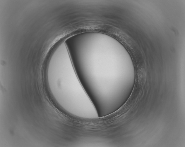 X0000090960727200708021121