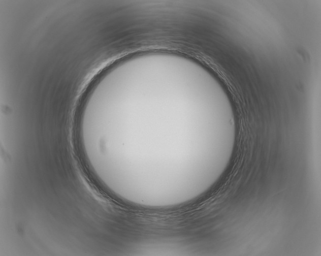 X0000090960728200708021121