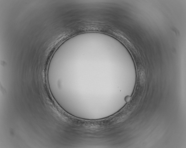 X0000090960729200708021121