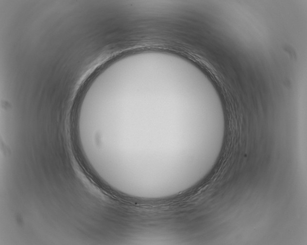 X0000090960730200708021121