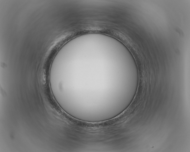 X0000090960731200708021121
